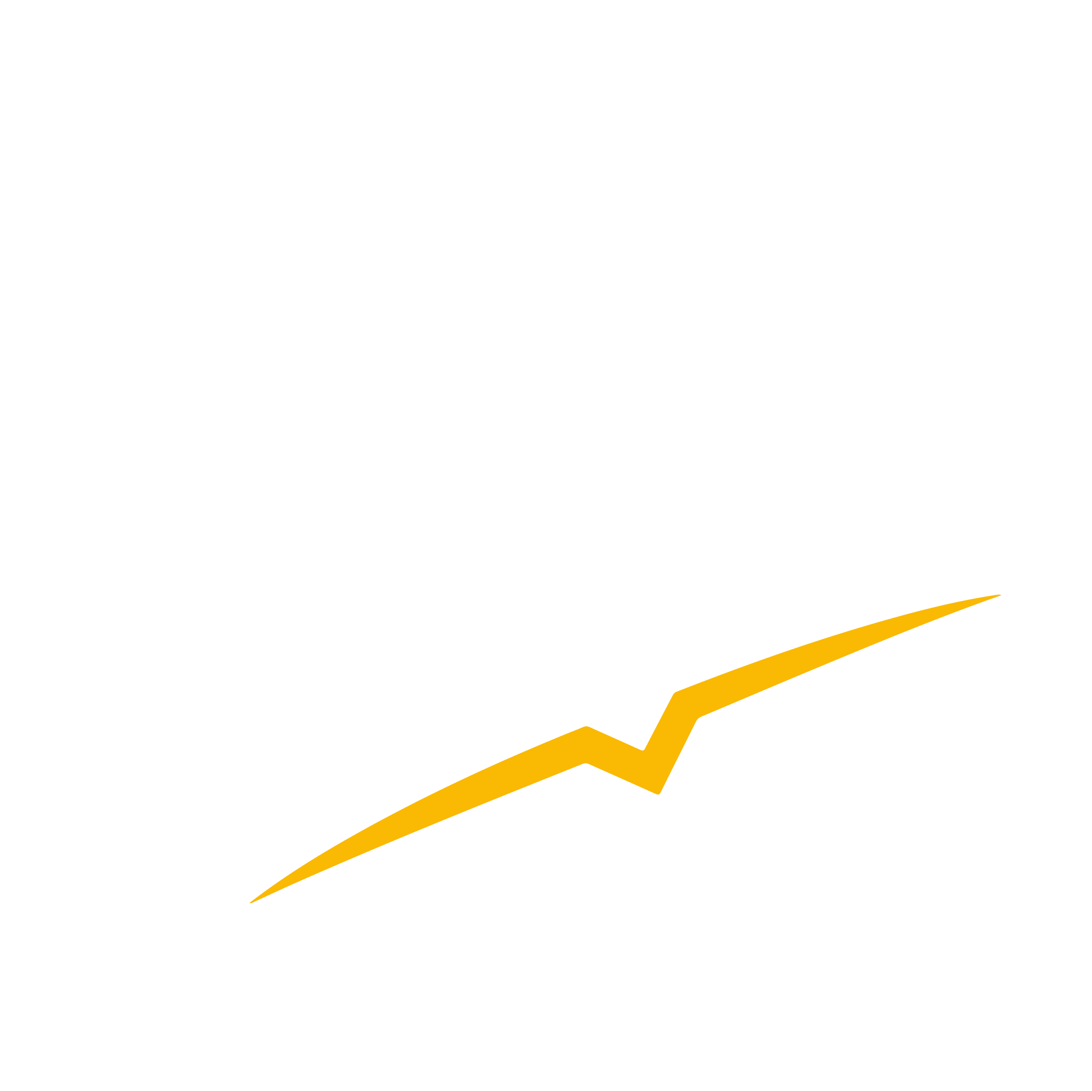 XTREMESTYLECO